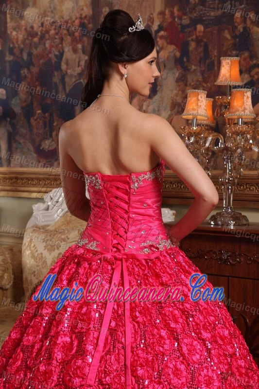 Embossed Fabric Hot Pink Appliqued Dresses for Sweet 16