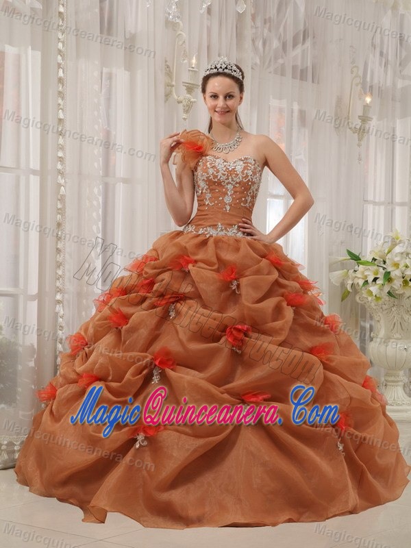 one Shoulder Rust Red Appliqued Quinceanera Dresses for Sale