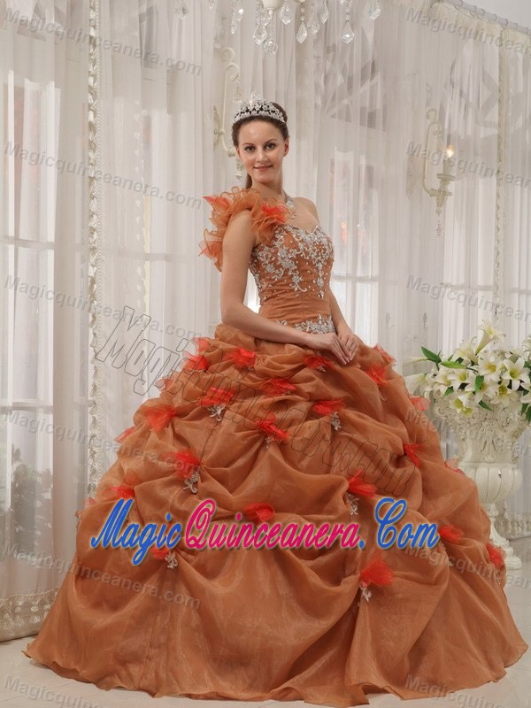 one Shoulder Rust Red Appliqued Quinceanera Dresses for Sale