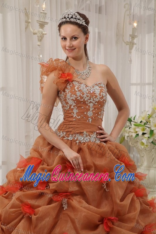 one Shoulder Rust Red Appliqued Quinceanera Dresses for Sale