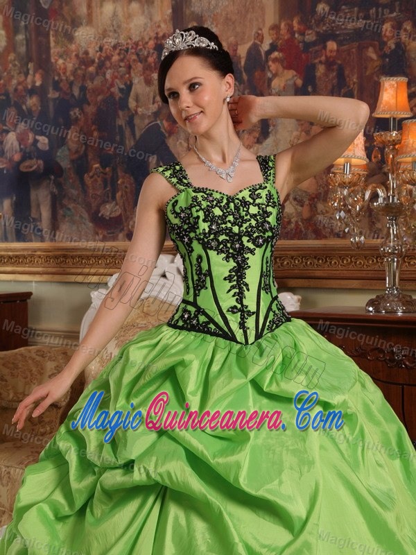 Straps Spring Green Pick Ups Sweet 15 Dress with Appliques