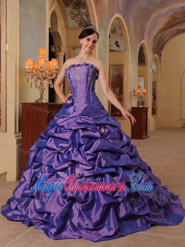 Sophisticated Court Train Taffeta Pick Ups Purple Quince Dress