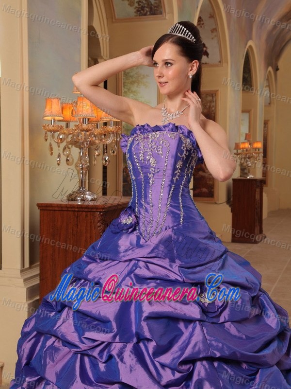 Sophisticated Court Train Taffeta Pick Ups Purple Quince Dress