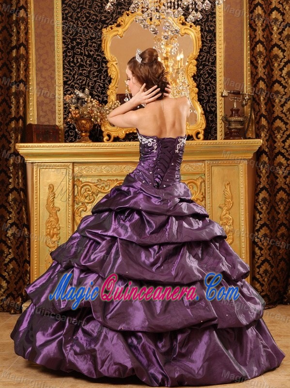 Appliqued Pick Ups Purple Quinceanera Gown Dress for Winter