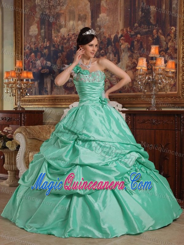 Green One Shoulder Taffeta Pick Ups Quinceanera Dress in Clifton