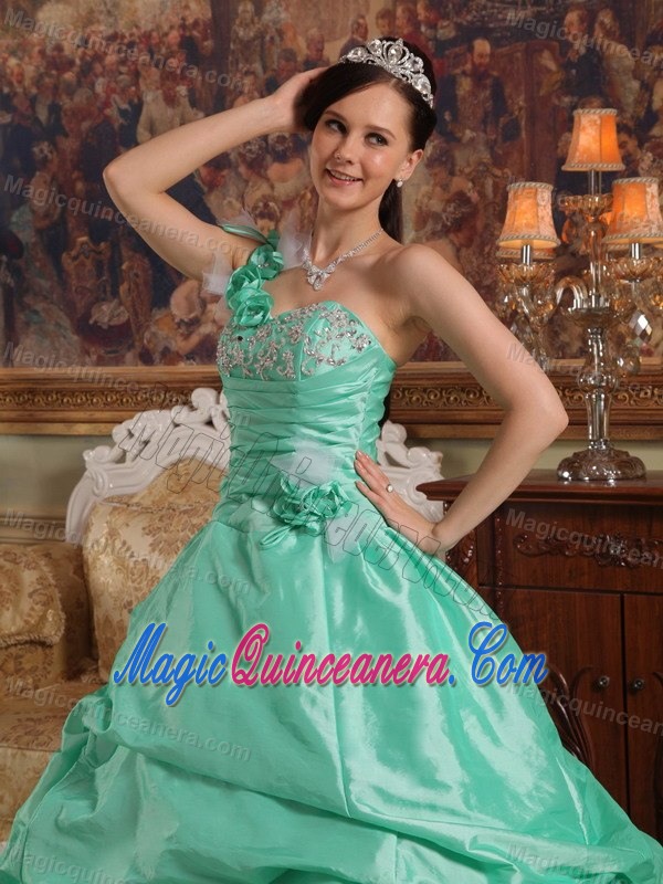 Green One Shoulder Taffeta Pick Ups Quinceanera Dress in Clifton