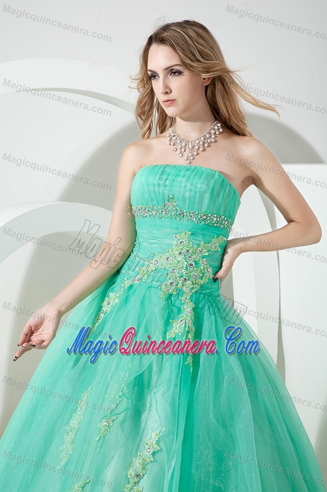 Turquoise Organza Appliques Sweet 16 Dresses in Newtownabbey