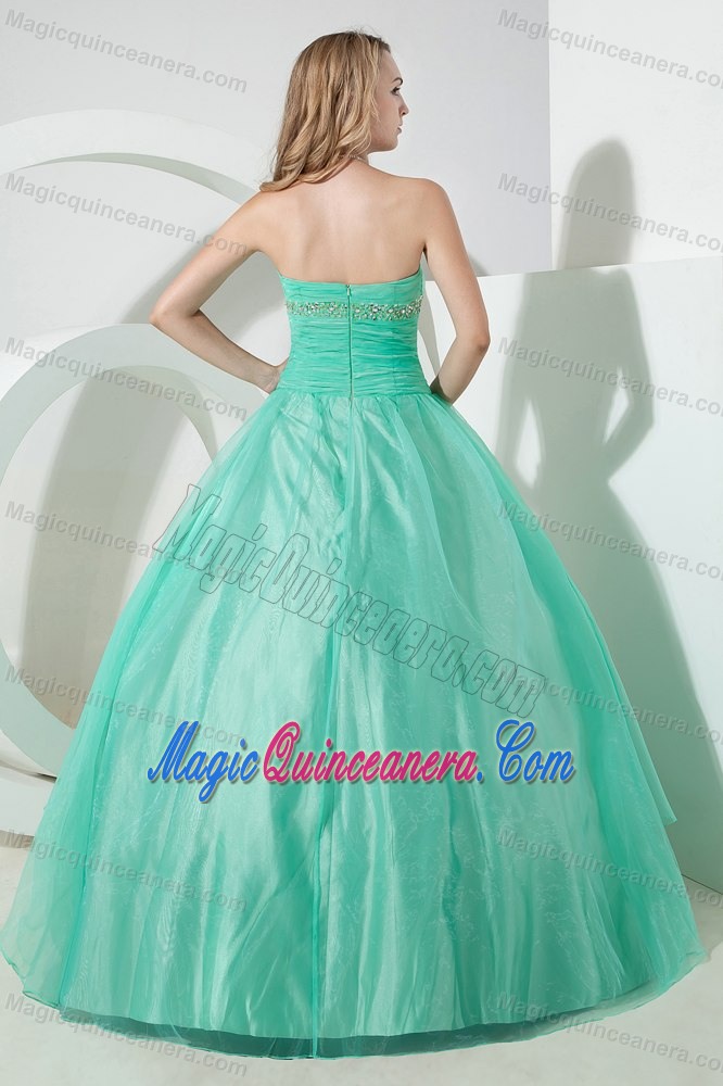 Turquoise Organza Appliques Sweet 16 Dresses in Newtownabbey