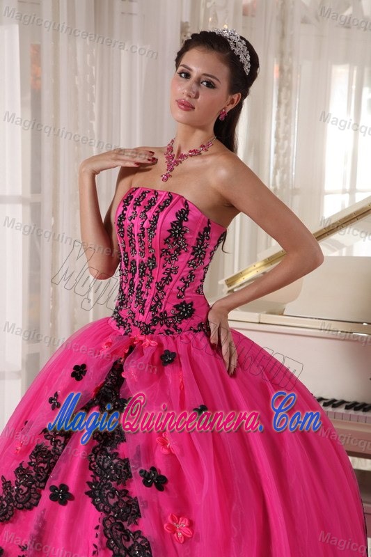 Attractive Hot Pink Strapless Appliques Quinceanera Gowns Lace Hem