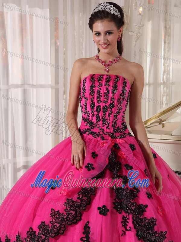 Attractive Hot Pink Strapless Appliques Quinceanera Gowns Lace Hem