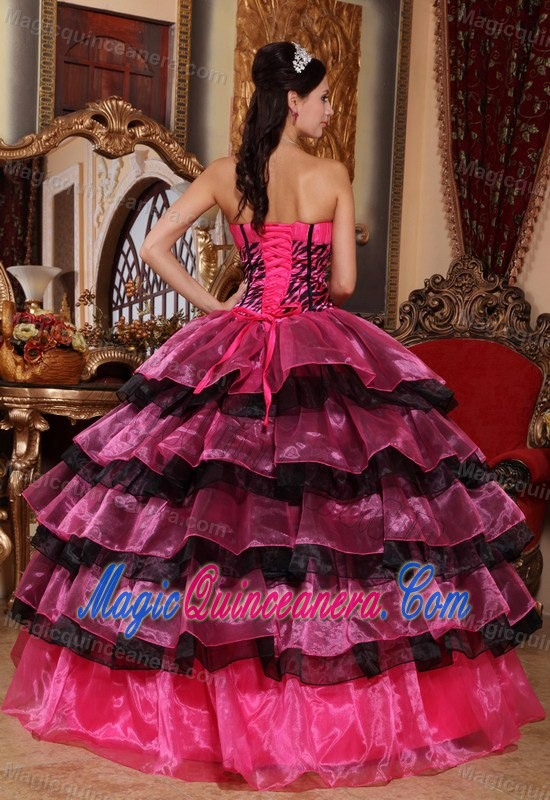 Multi-tiered Dresses for a Quince Sweetheart Zebra Print for Vancouver