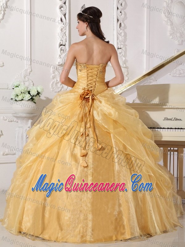 Ballarat Organza Quinceanera Dresses Embroidery Hand Made Flowers