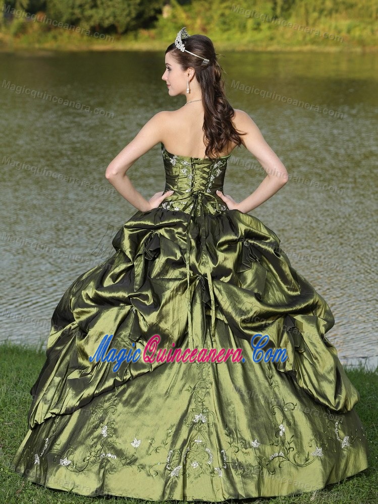 Pick ups and Appliques Taffeta Sweet 16 Dresses in Olive Green 2013