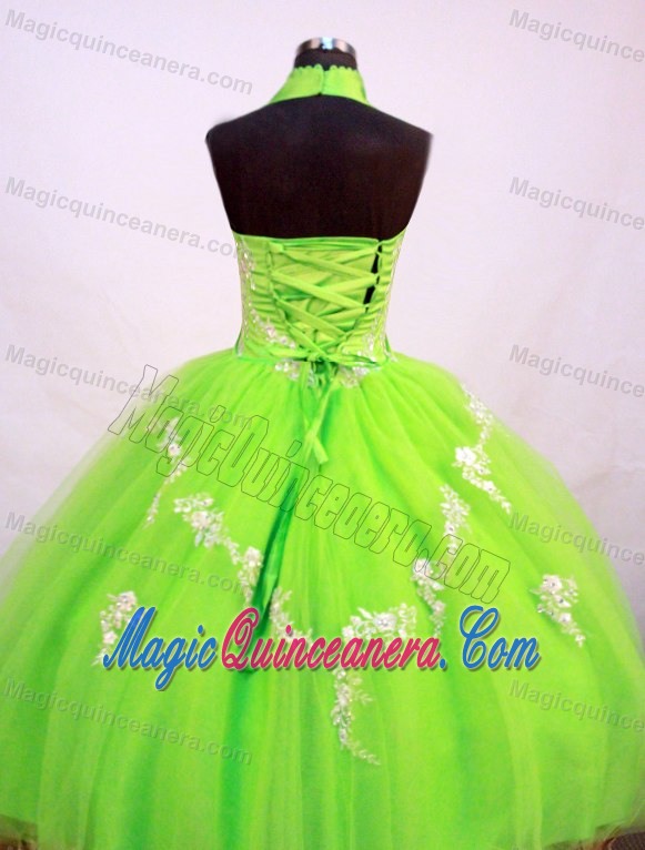 Halter Top Little Girl Pageant Dress in Spring Green With Appliques