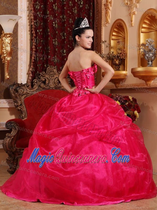 Modernistic Hot Pink Flowers Quinceanera Dress Jacaltenango