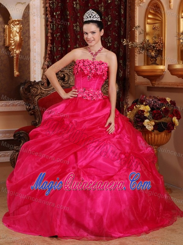 Modernistic Hot Pink Flowers Quinceanera Dress Jacaltenango