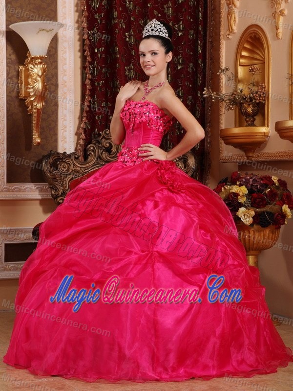 Modernistic Hot Pink Flowers Quinceanera Dress Jacaltenango