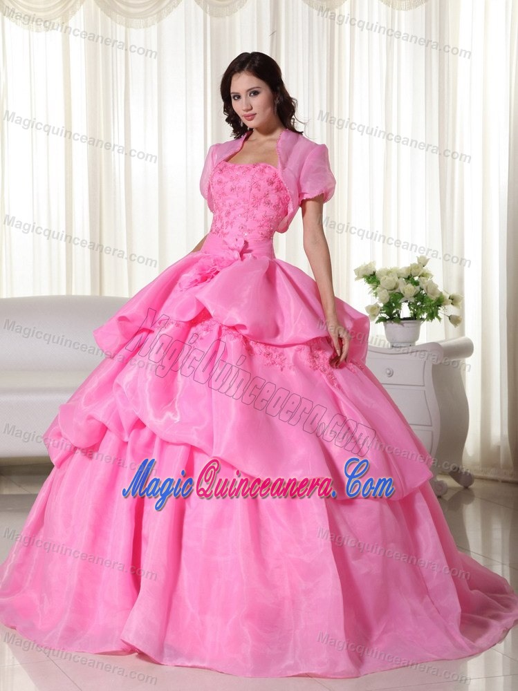 Hot Sale Rose Pink Appliqued Pick Ups Quinceanera Dress