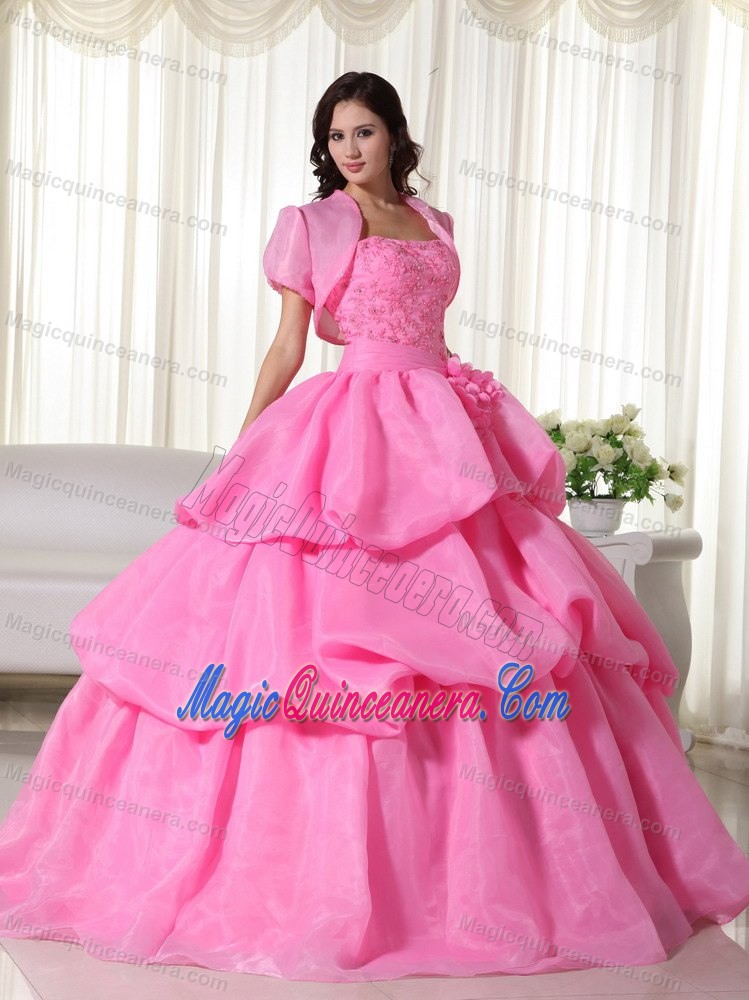 Hot Sale Rose Pink Appliqued Pick Ups Quinceanera Dress