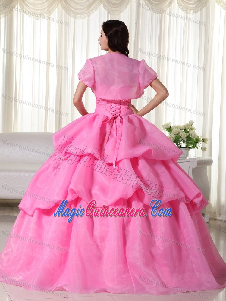 Hot Sale Rose Pink Appliqued Pick Ups Quinceanera Dress