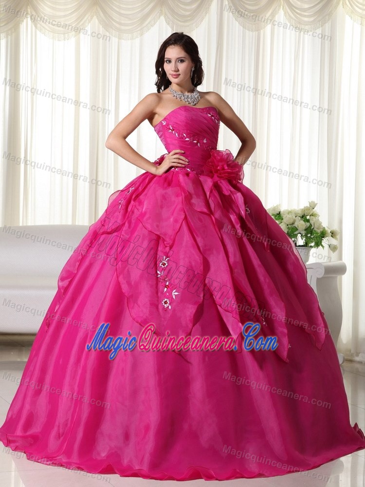 Flowers and Embroidery Accent Fuchsia Quinceanera Gowns Lace-up