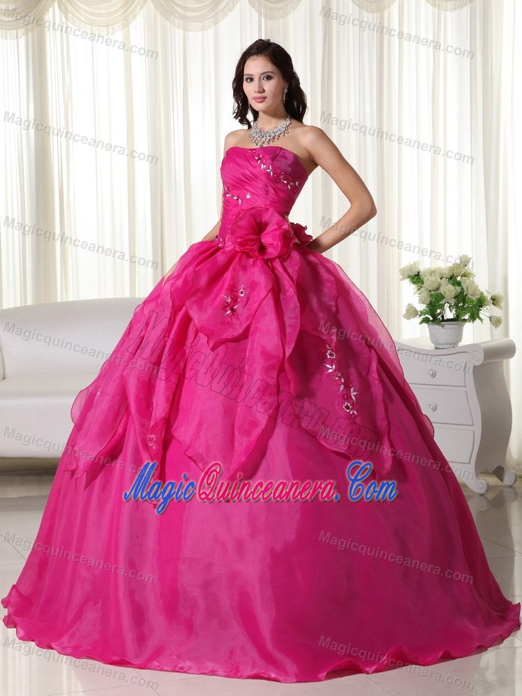 Flowers and Embroidery Accent Fuchsia Quinceanera Gowns Lace-up