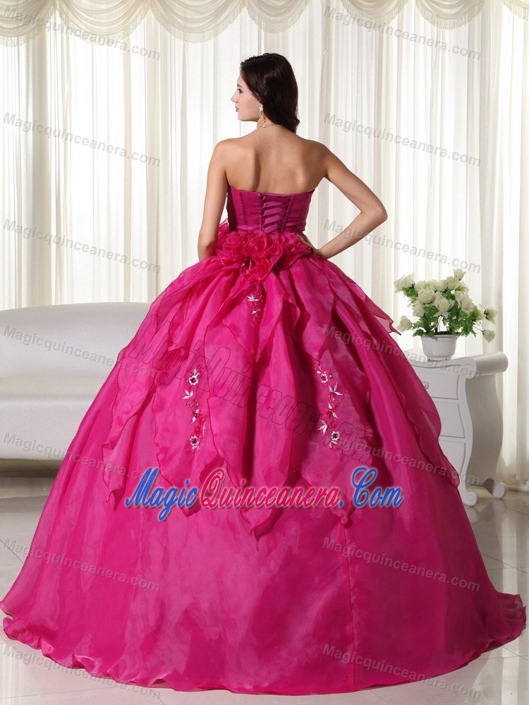 Flowers and Embroidery Accent Fuchsia Quinceanera Gowns Lace-up