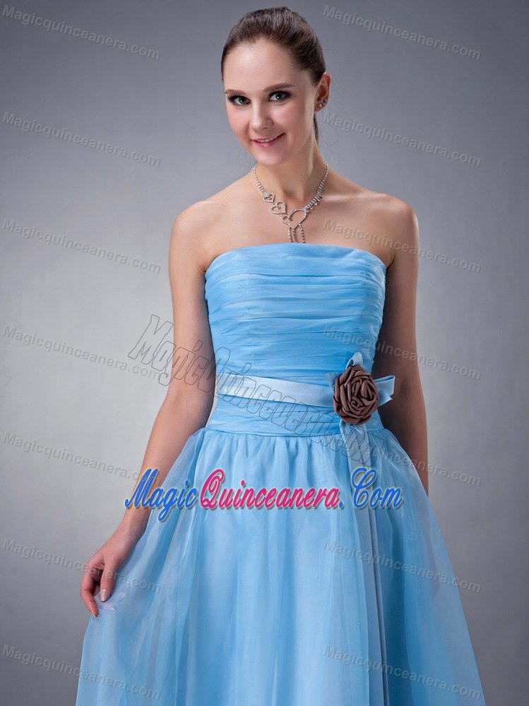 Baby Blue Strapless Tea-length Chiffon Dama Dresses in Wokingham