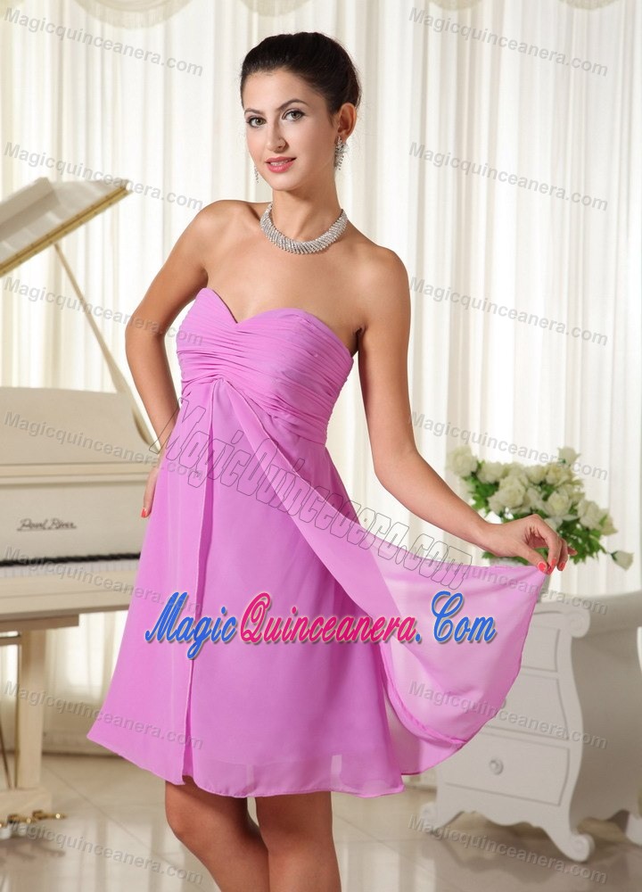 Lavender Strapless Short-length Chiffon Dama Dresses in Wokingham