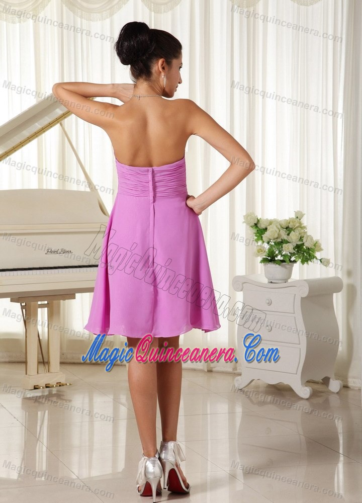 Lavender Strapless Short-length Chiffon Dama Dresses in Wokingham