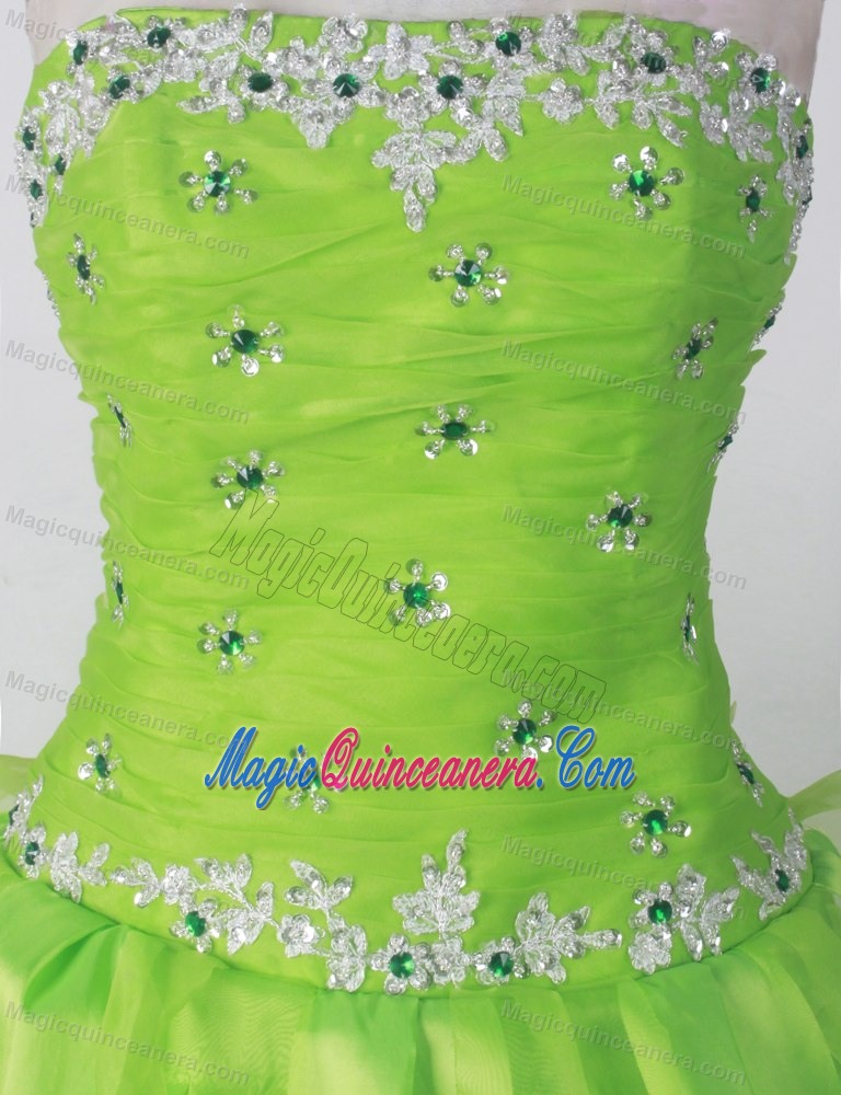 Petaloid Spring Green Beaded Ruching Sweet 15 Dress for Quinceanera