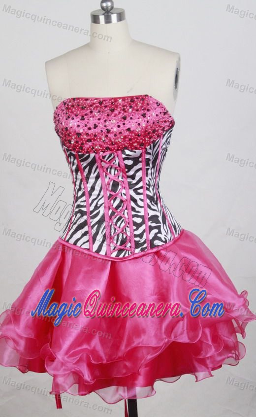 Zebra Detachable Beading Hot Pink Quinceanera Dress in Sydney