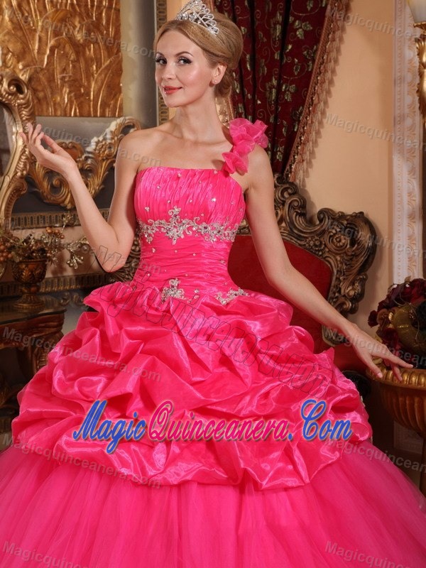 Hot Pink One Shoulder Dresses for A Quince with Flowers Pick ups