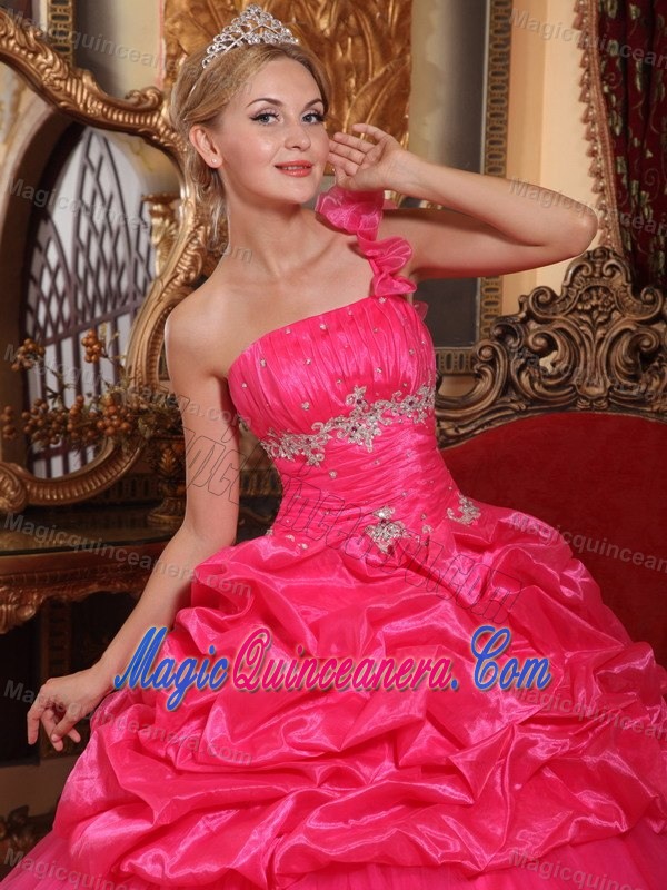 Hot Pink One Shoulder Dresses for A Quince with Flowers Pick ups