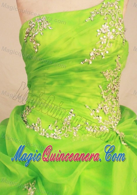 One Shoulder Appliques and Beading Dresses Of 15 in Spring Green