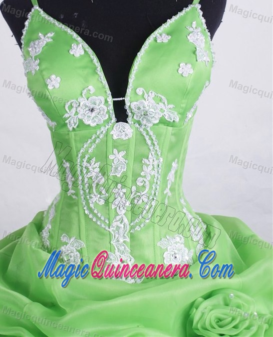 Straps Hand Made Flowers and Appliques Quinceanera Dresses in Spring Green