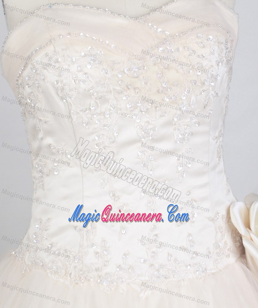 Champagne Sweetheart Taffeta Quinceanera Dress with Appliques