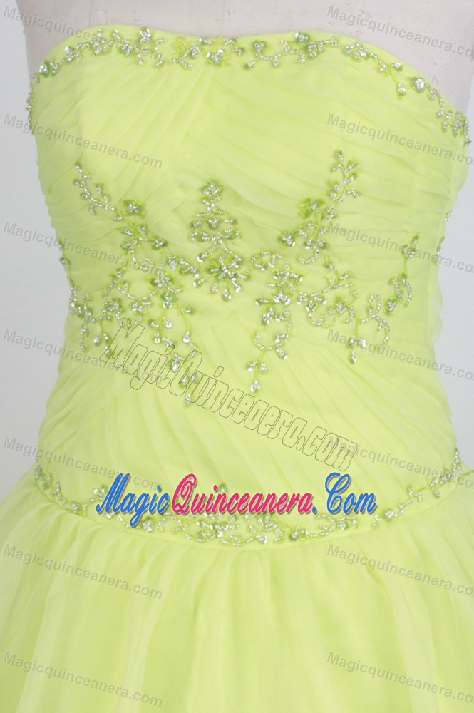 Green Floral Appliques Strapless Quinceanera Dress in Mendoza