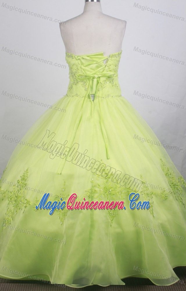 Green Floral Appliques Strapless Quinceanera Dress in Mendoza