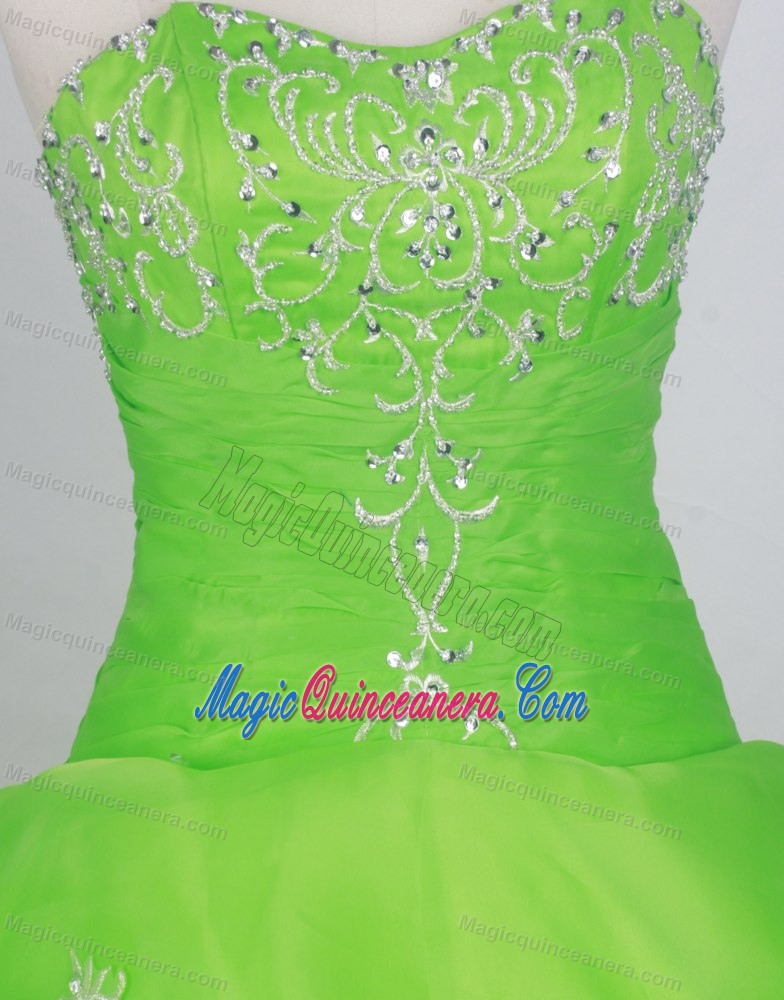 Silver Beaded Appliques 2013 Quincenera Dresses in Spring Green