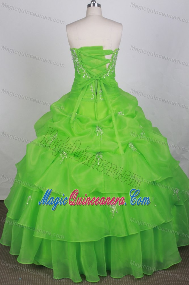 Silver Beaded Appliques 2013 Quincenera Dresses in Spring Green