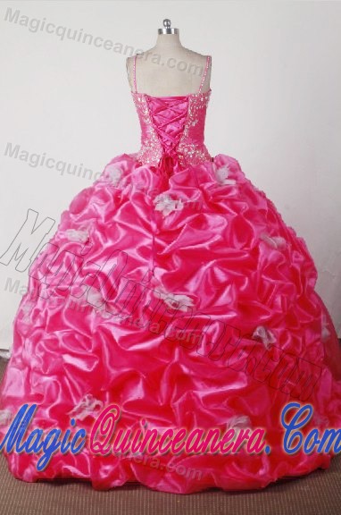 Spaghetti Straps and Hand Flowers Quincenera Dresses in Hot Pink