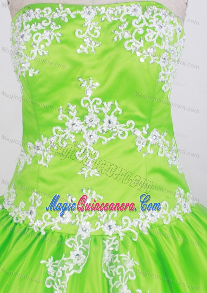 Gorgeous Strapless Spring Green Quinceanera Gown Appliqued