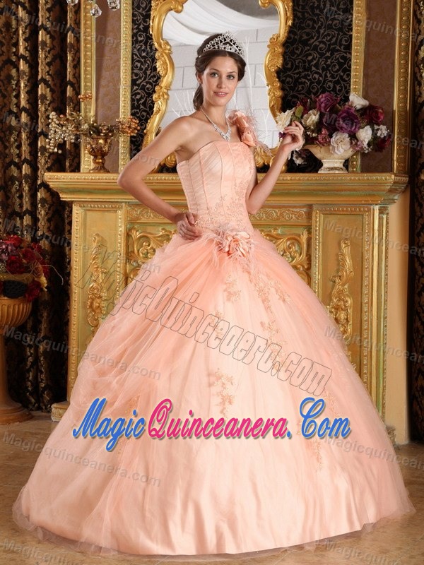 Flowery One Shoulder Appliqued Quinceanera Dresses in Peach Color