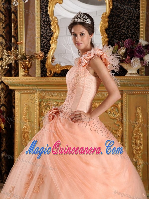 Flowery One Shoulder Appliqued Quinceanera Dresses in Peach Color