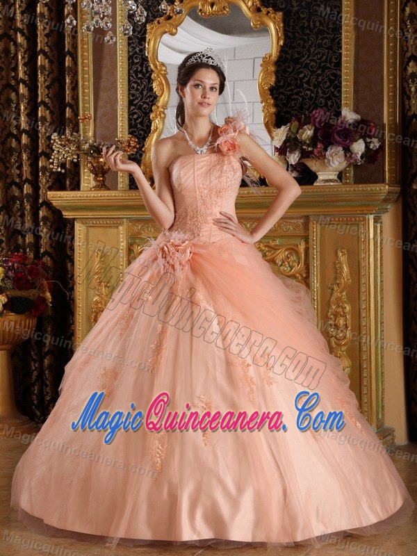 Flowery One Shoulder Appliqued Quinceanera Dresses in Peach Color