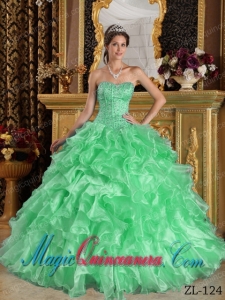 Apple Green Ball Gown Sweetheart Floor-length Ruffles Organza Cute Quinceanera Dress