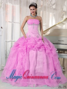 2014 Pink Ball Gown Strapless Floor-length Organza Beading Quinceanera Dress