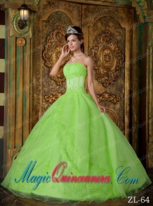 Ball Gown Strapless Appliques Organza Sexy Quinceanera Dress Spring Green