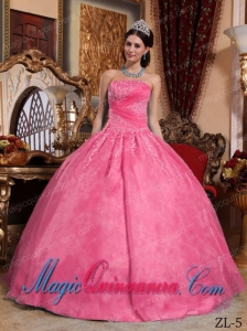 Ball Gown Strapless Hot Pink Floor-length Organza Appliques Best Quinceanera Dress